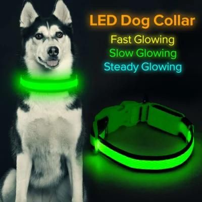 LED Pet Dog Collar Offer High Visible and Safety for Your Dog
