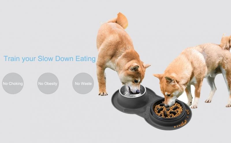 Feeding Stainless Steel Food Water Cats Bowl