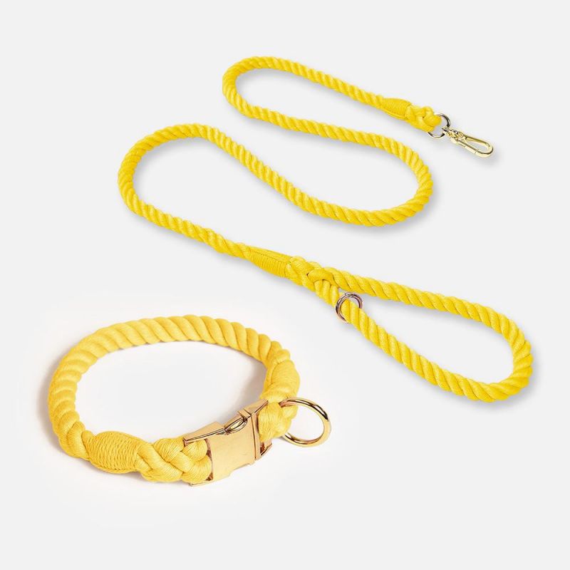 Custom Pet Leash Comfortable Dog Rope Leash Dog Metal Accessories Collar and Leash Set