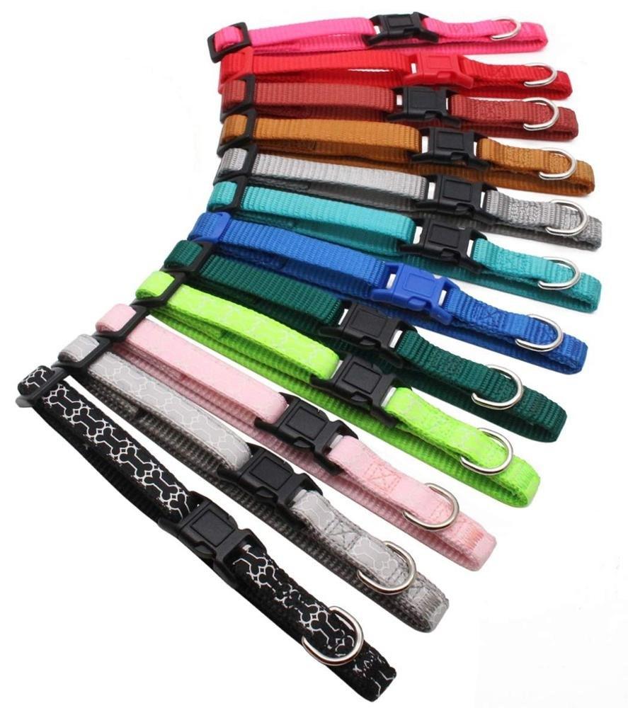 Colourful Rainbow Nylon Solid Leash and Collar