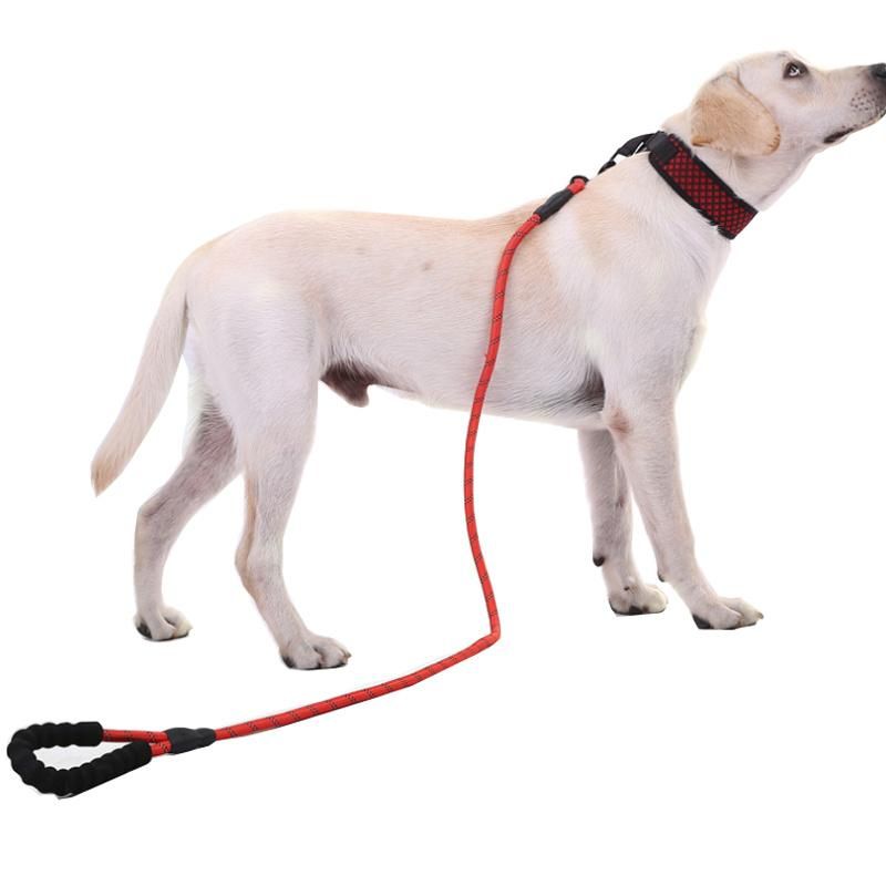 Climbing Moutain Reflective Nylon Rope Pet Dog Leash