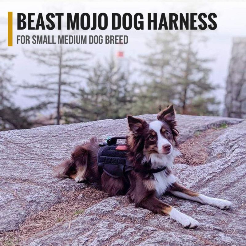 Tactical Dog Harness with Durable Vertical Handle for Small Medium Puppy Dog