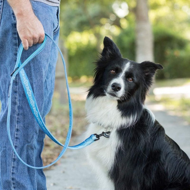 Durable Custom Design Dog Leash with Soft Padded Handle