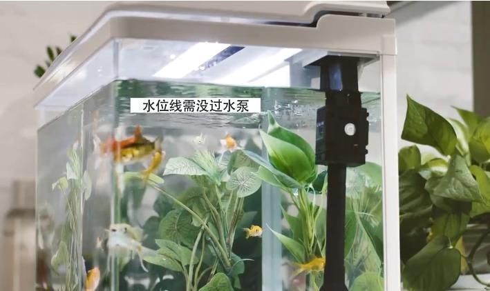 Wholesale Automatic Filter Betta Tropical Fish Fish Tank Aquarium