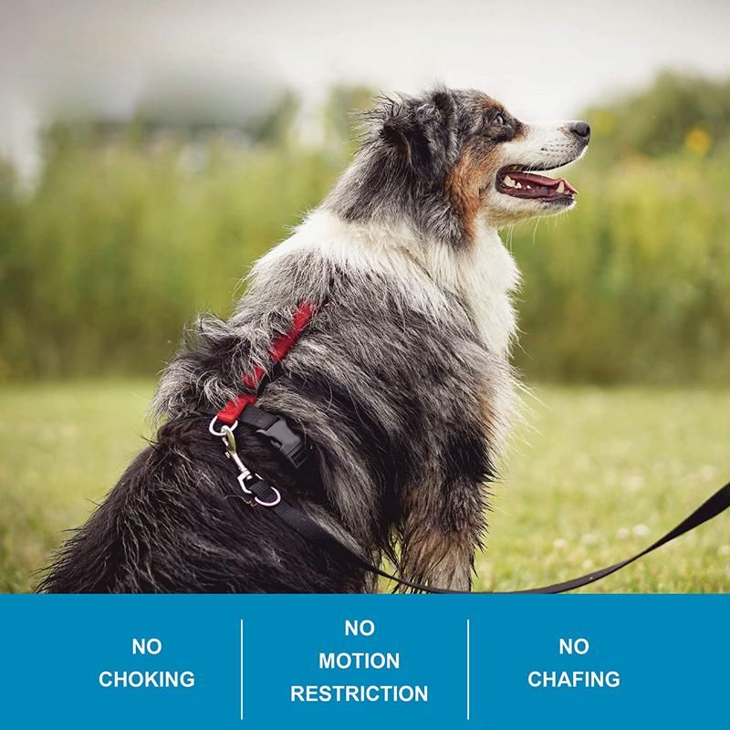 High Quality Fully Customizable Fit No-Pull Harness, Dog Harness for Dog Training and Obedience