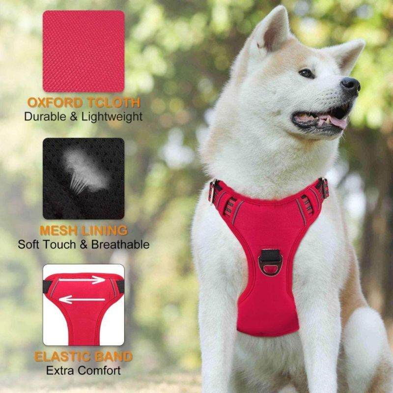 Ergonomic Design No Pull Dog Harness with Fast Delivery