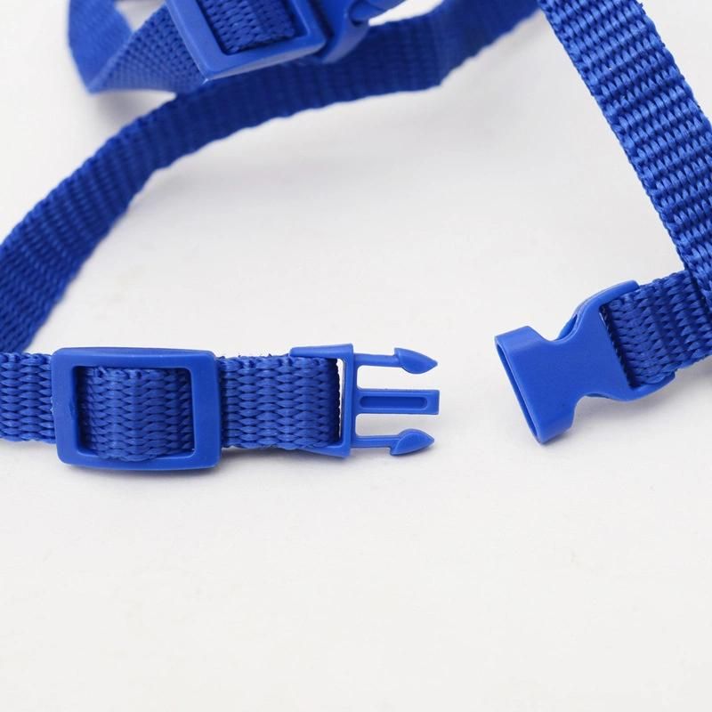 Factory Direct Sale Cat Dog Leash Pet Collars and Leash