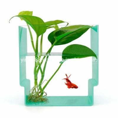 Best Selling Acrylic Aquarium Fish Tank