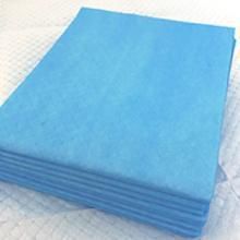 Biodegradable Wholesale PEE Pad 60X90 Pet Underpad