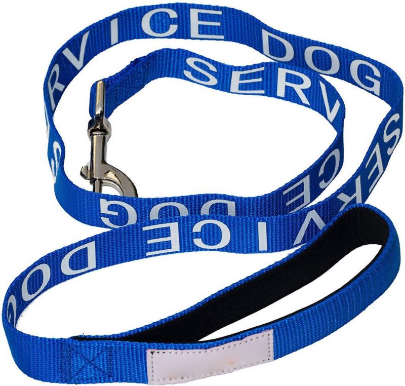 Service Dog Leash Standard Dog Leash One Inch Width, Service Dog Gear