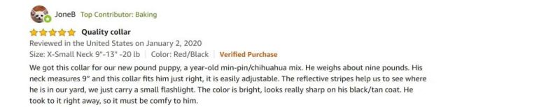 Nylon Webbing Pet Strap Light Weight Reflective Dog Collar