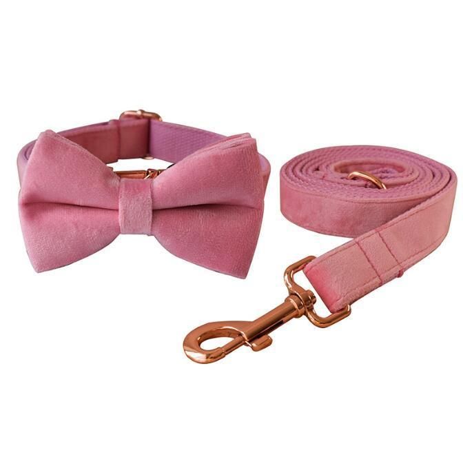 Velvet Dog Collars with Detachable Bowtie