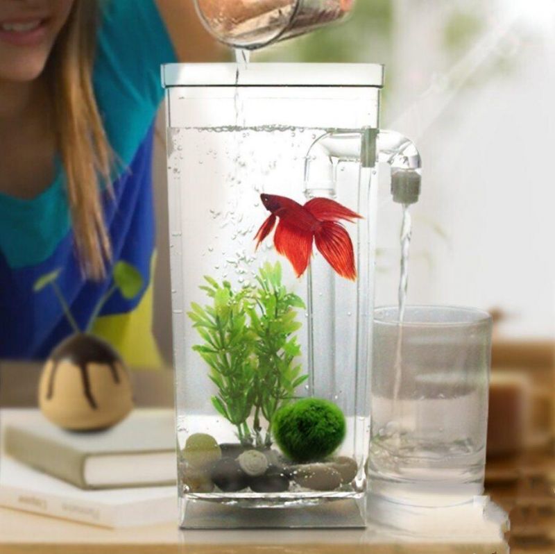 Customized Acrylic Fish Tank External Filter Can Be Placed on The Desktop