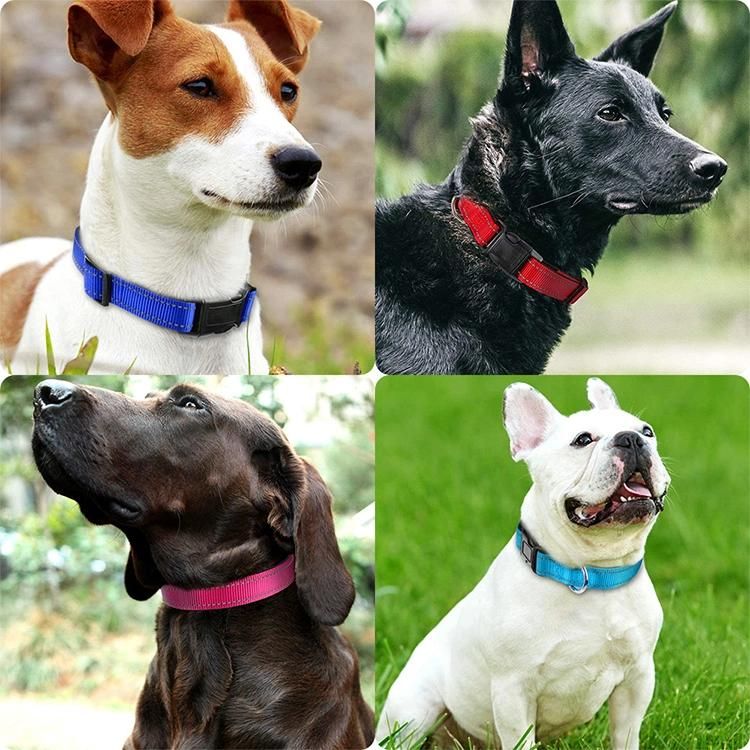 Polychrome Nylon Dog Collar No Neck Pet Collar
