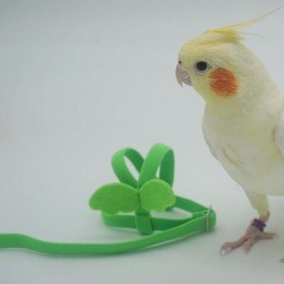 Parrot Flying Rope PU + Elastic Cotton