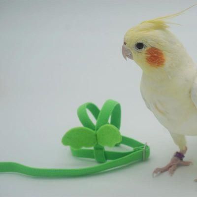 Parrot Flying Rope PU + Elastic Cotton