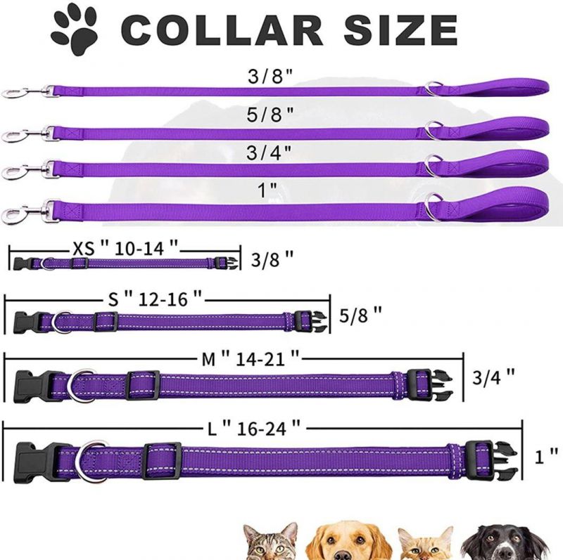 Nylon Dog Collar and Leash Set Soft Handle with Padded