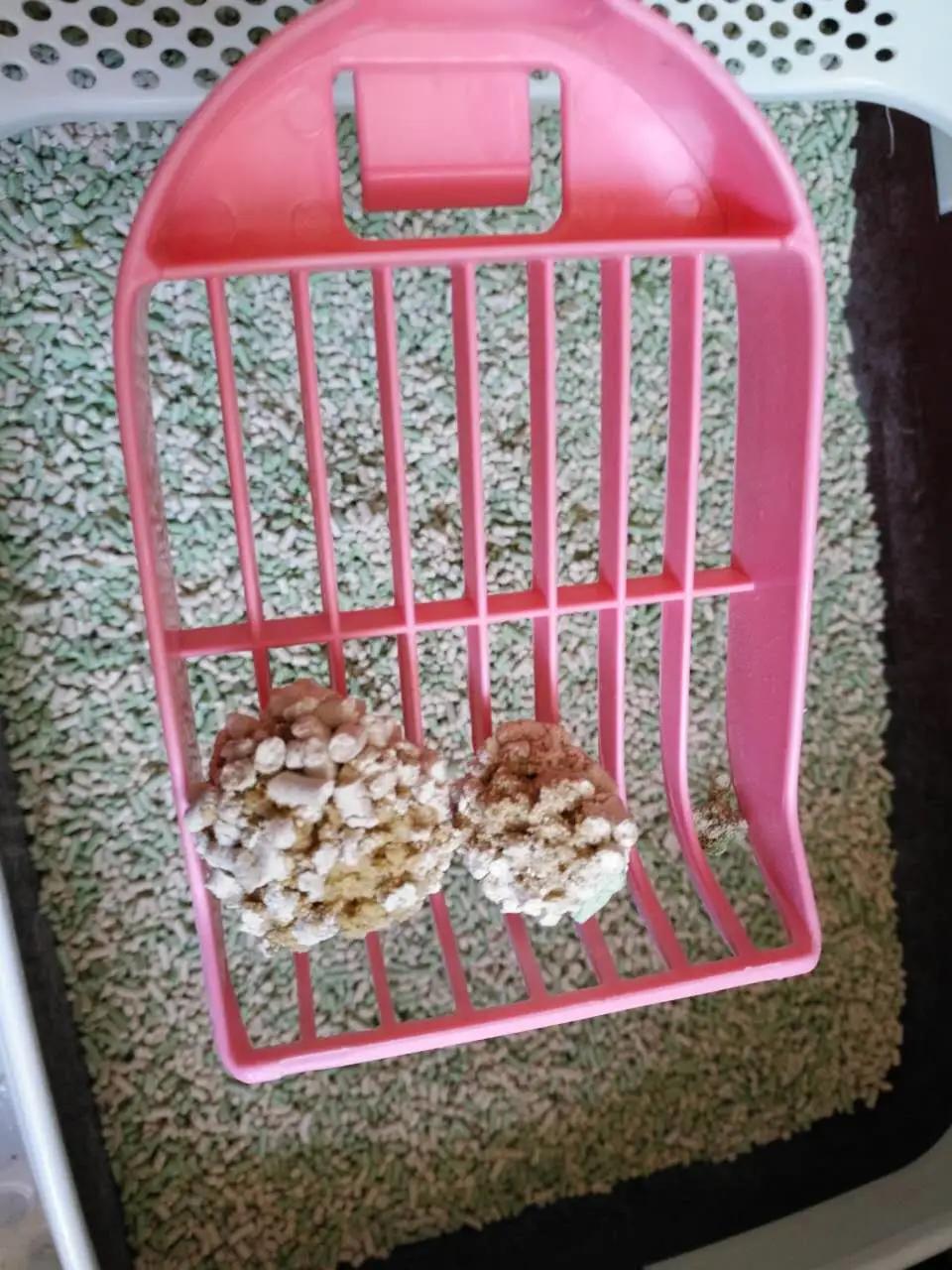 High Quality Tofu Cat Litter with Hard Clumping and Super Absorption and Odor Control and Low Dust