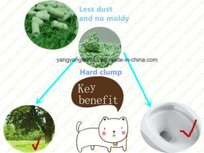 Cat Toilet Product: Green Tea Scent Tofu Cat Litter