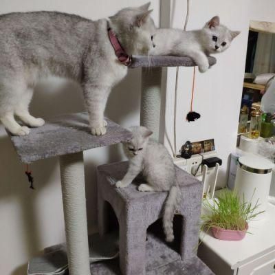 Multi Level Cat Tree Tower Condo Scratching Posts Removable Platform Hammock Stand House Furniture Activity Tower