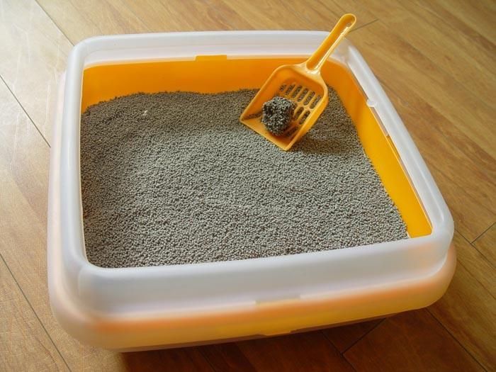 Montmorillonite Hard Clumping Cat Litter Sand