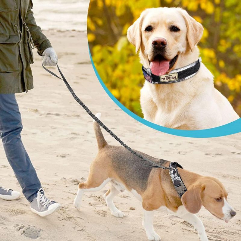 Heavy-Duty Airtag Neoprene Waterproof Tactical Dog Collar, Custom Logo Dog Collar Nylon