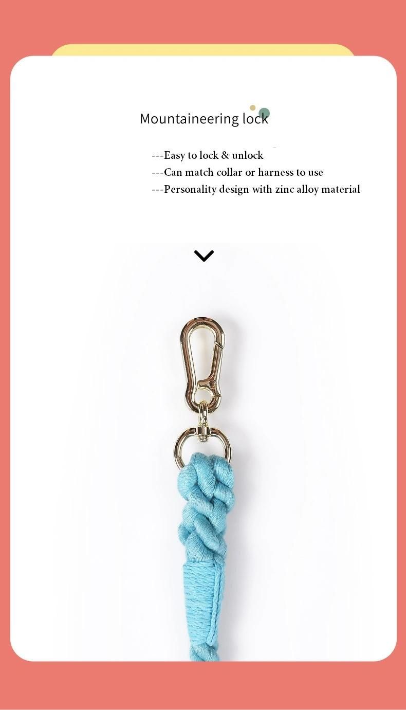 Handmade Customized Solid Clasp Wholesale High Quality Dog Rope Lead