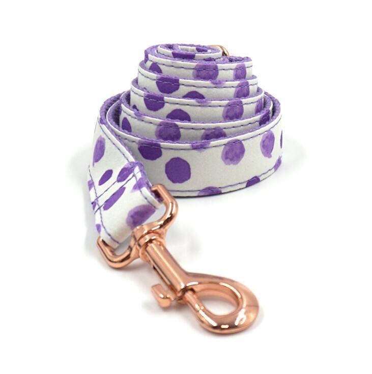 Fast Delivery of Pattern DOT Dog Collar and Leash Set