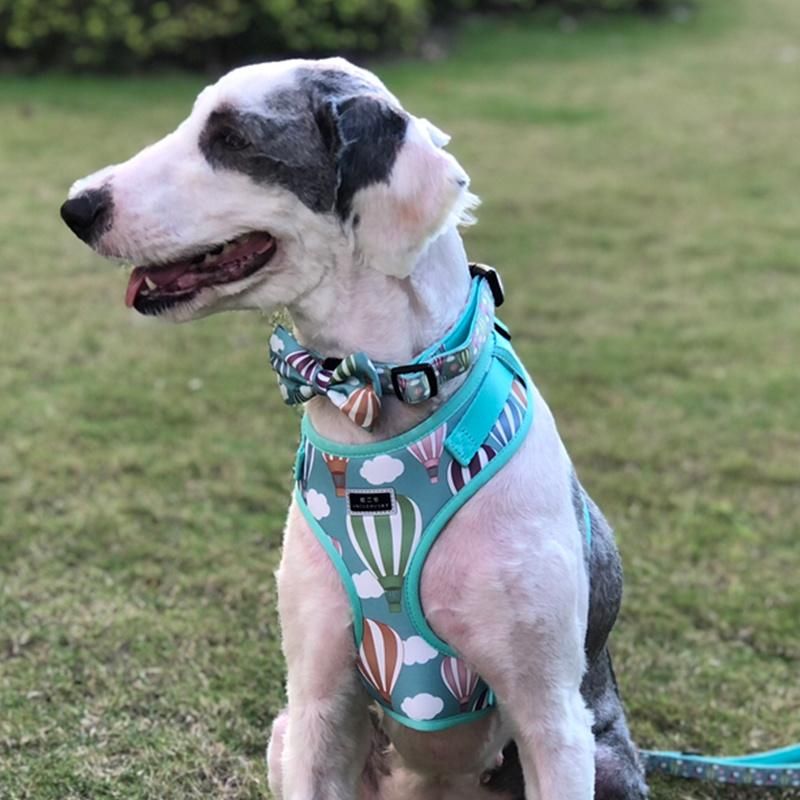 Custom Pattern Dog Harness and Leash Set Personalized Luxury Dog Harness