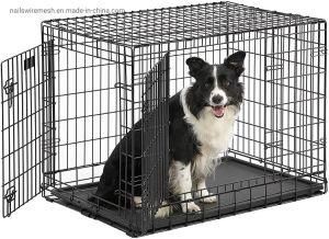 Factory supply stainless steel wire dog cage with two two door in stock