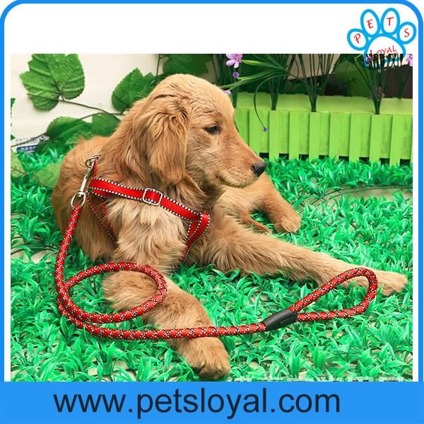 Factory Wholesale Cheap Nylon Pet Leash Dog Harness