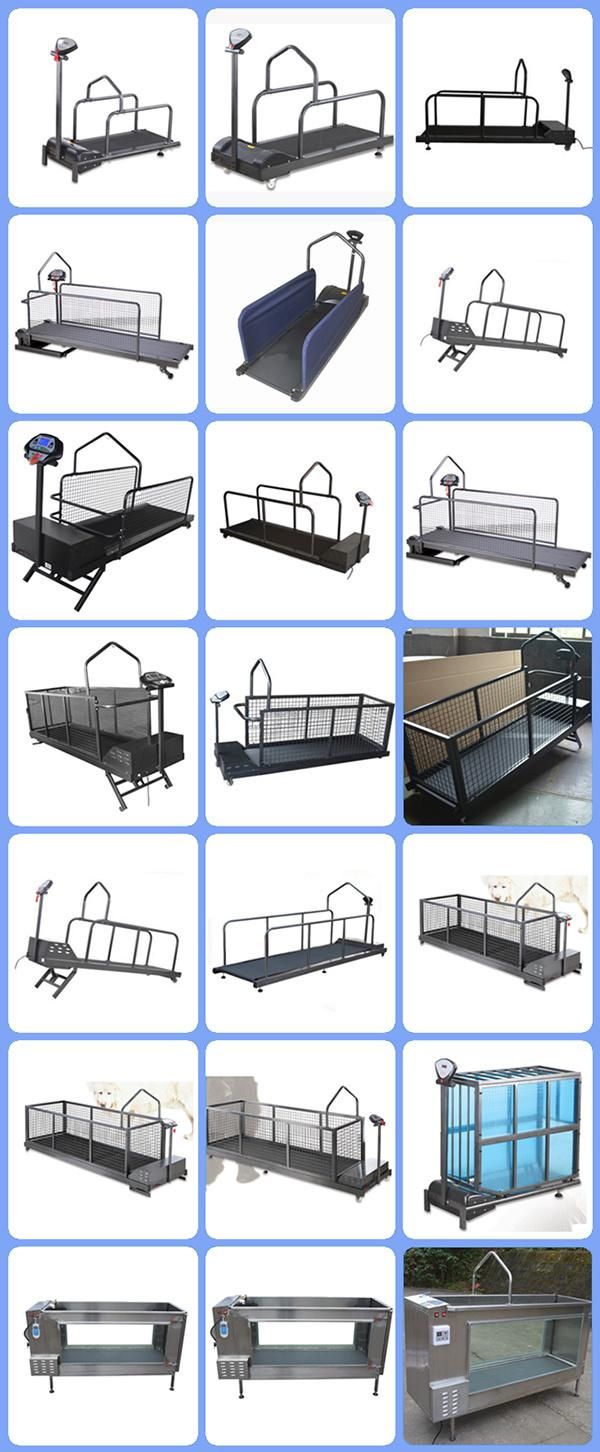 Hot Sale Water Cycle Function Hydrotherapy Treadmill for Dogs