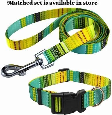 Fashion Dog Collar and Leash Promotional Pet Products Walking Dogs