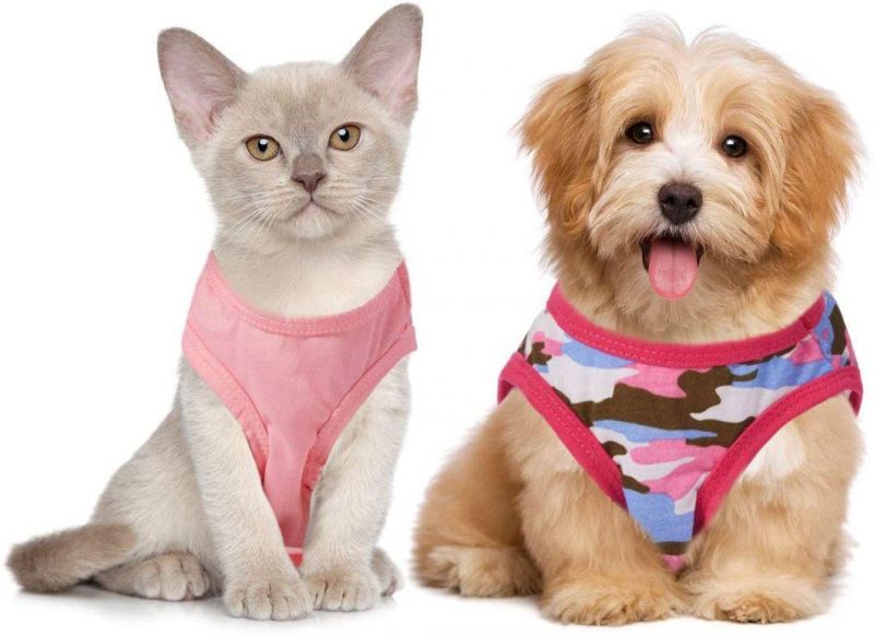Cute Pattern Design Summer Dog T-Shirt