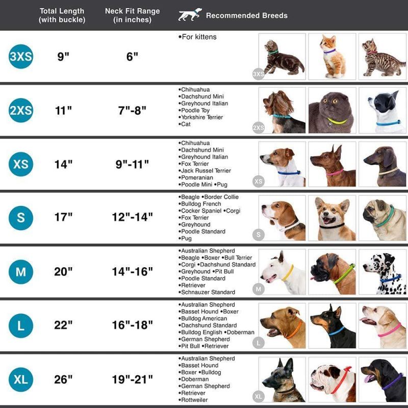 High Quality and Comfortable Rolled Dog Collar
