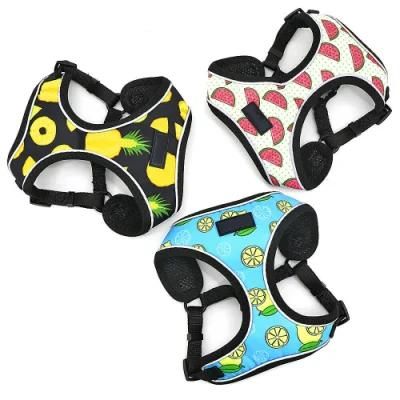 Premium Custom Logo Pet Product Adjustable Personalized Non Pull Dog Harness for Small Dog