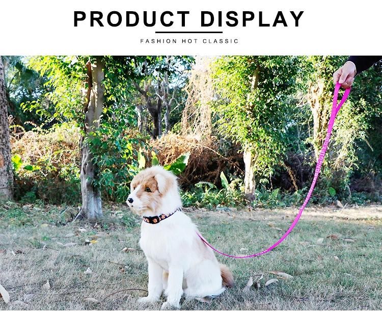 Custom Nylon Service Custom Print Logo Rope Dog Leash Webbing