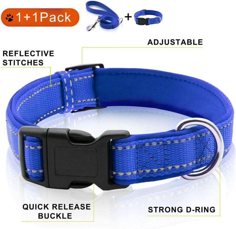 Nylon Dog Collar with Quick Release Premium ABS Made Buckle