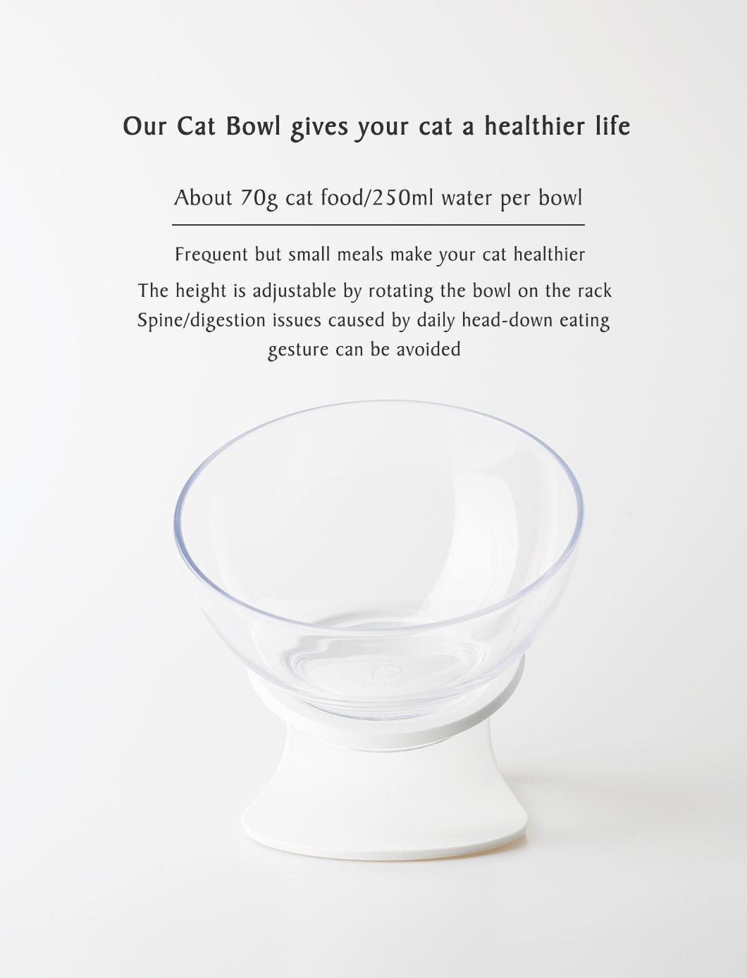 Elevated Pet Bowls Perfect for Cats and Small Dogs