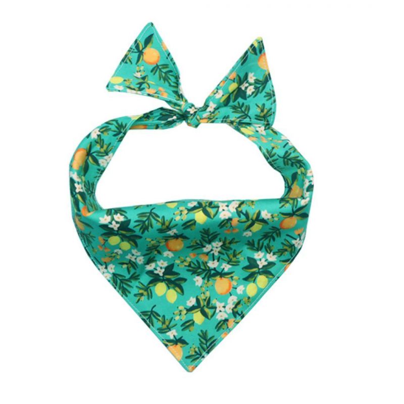 New Style Flower Pattern Printing Pet Dog Collar and Dog Leash Sets