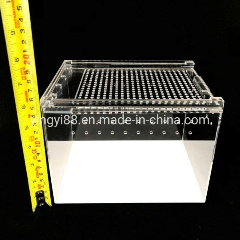 Wholesale Acrylic  Reptile Cage Shenzhen Factory