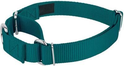 Traditional Martingale Style Dog Collar