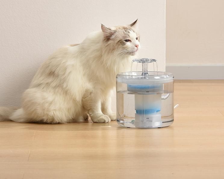 Dog Products, Petsafe Drinkwell 360 Multi Pet Drinking Fountain - Customizable Automatic Water Dispenser for Cats and Dogs - Filtered Water Capacity for Healthy