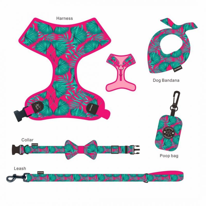 Dog Fashion Collar Custom Dog Luxury Collar Fit All Size Dogs Fashion Perros Harness Pet Products Collar and Leash Set