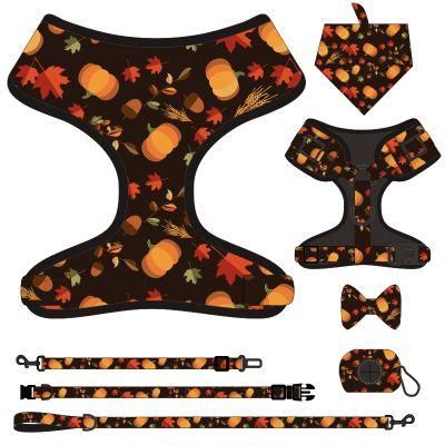 Hot Selling Factory Custom Seven-Piece Pumpkin Pet Collar, Pet Harness, Pet Leash, Bow Tie, Safety Rope