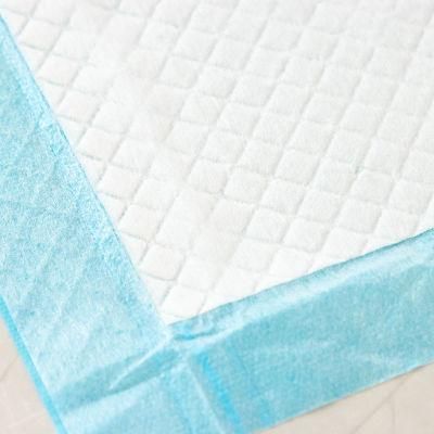 Pet Pad Super Absorbent Dog Pet Disposable Customized Urinal Pad Wholesale Pet Products Custom Absorb PEE Pads