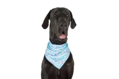 Wholesale Custom Pet Clothing Accessories Printed Pattern Cotton Soft Dog Bandana