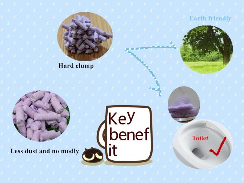 Nature Tofu Cat Litter with Lavender Scent