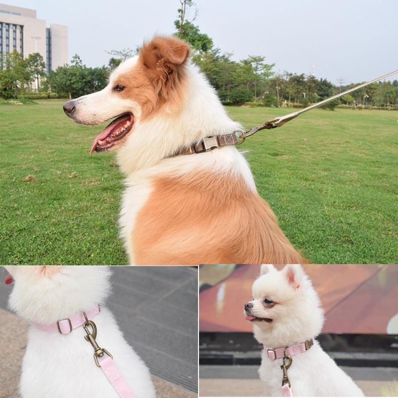 Customized Specification Polyester Cotton Material Electroplating Colorful Canvas Dog Collar and Leash