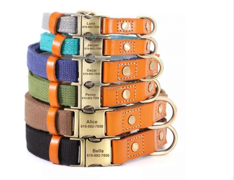 Hot Sales Genuine Leather Matching Polyester Cotton Pet Dog Collar and Leash Set